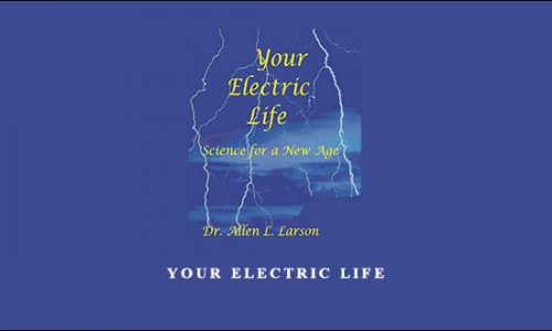 Your Electric Life by Hans Hannula