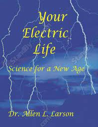 Your Electric Life by Hans Hannula