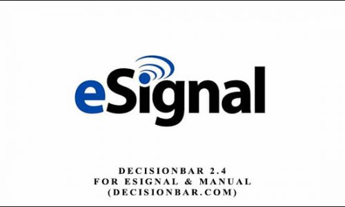 DecisionBar 2.4 for eSignal & Manual (decisionbar.com)