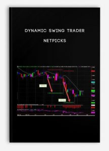 Dynamic Swing Trader by NETPICKS