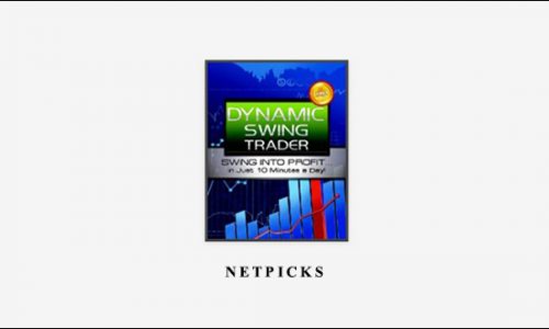 Dynamic Swing Trader by NETPICKS