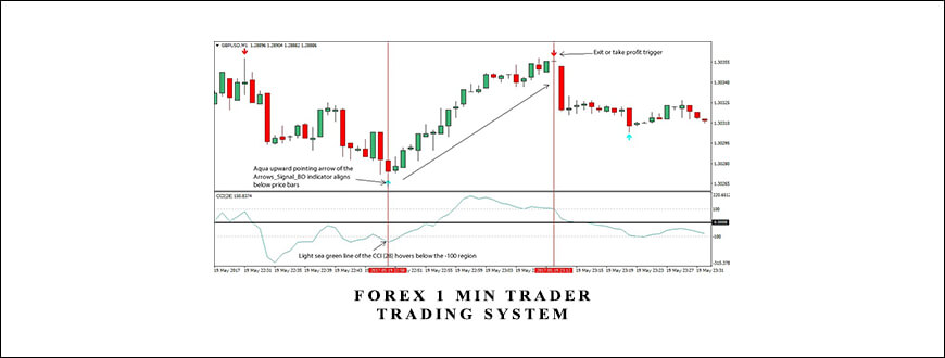 FOREX 1 MIN TRADER Trading