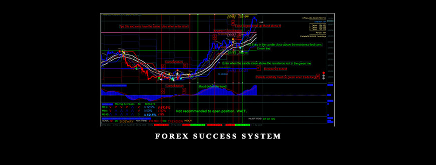 Forex Success System