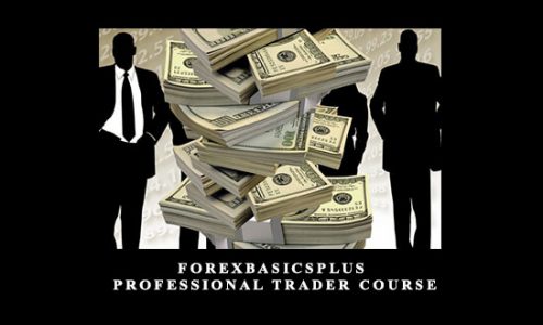 Forexbasicsplus – Professional Trader Course