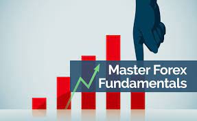 Master Forex Fundamentals + Day Trading Masterclass by Boris Schlossberg, Kathy Lien