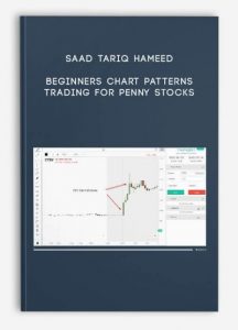 Saad Tariq Hameed – Beginners Chart Patterns Trading for Penny Stocks