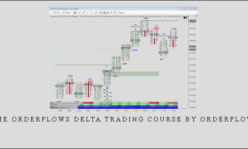 THE ORDERFLOWS DELTA TRADING COURSE by Orderflows