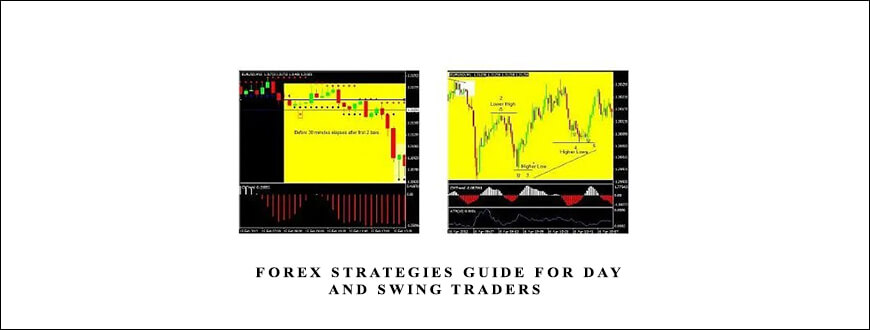 Forex Strategies Guide for Day and Swing Traders