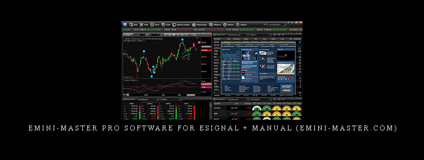 eMini-Master Pro Software for eSignal + Manual (emini-master