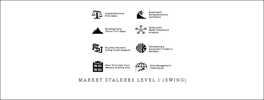 Market Stalkers Level 1 (Swing)