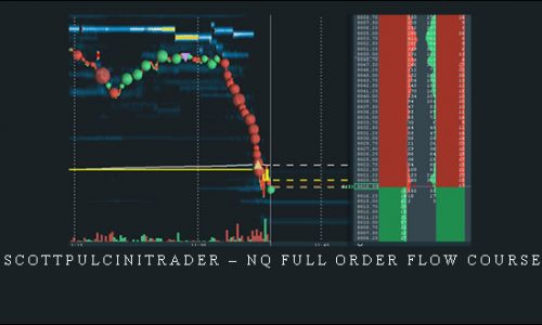 Scottpulcinitrader – NQ full order flow course