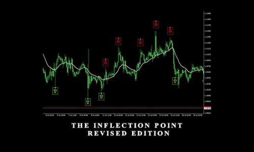 The Inflection Point Revised Edition by Charlie Burton