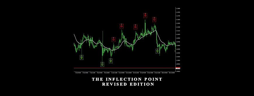 The Inflection Point Revised Edition by Charlie Burton