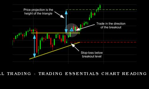 Rockwell Trading – Trading Essentials Chart Reading – 2 DVDs