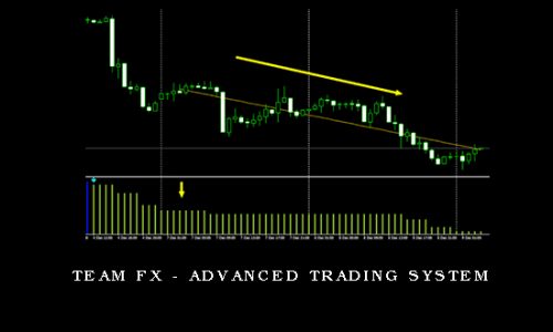 Team FX – Advanced Trading System