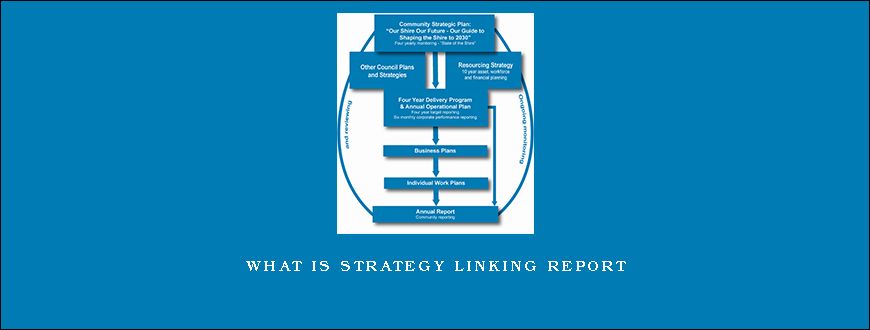 What is Strategy Linking Report