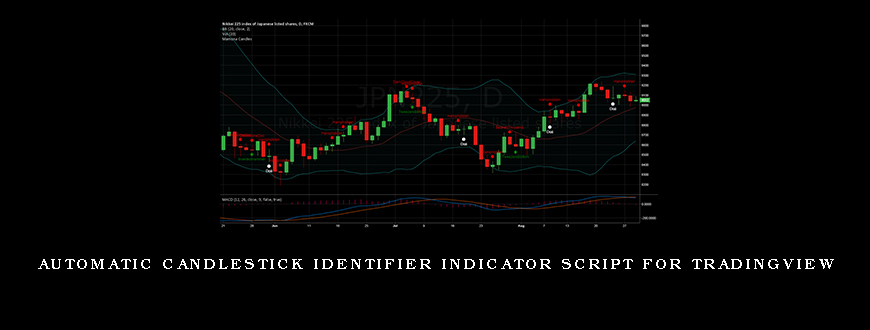 Automatic Candlestick Identifier Indicator Script for Tradingview