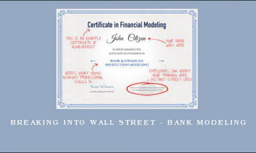 Breaking Into Wall Street – Bank Modeling