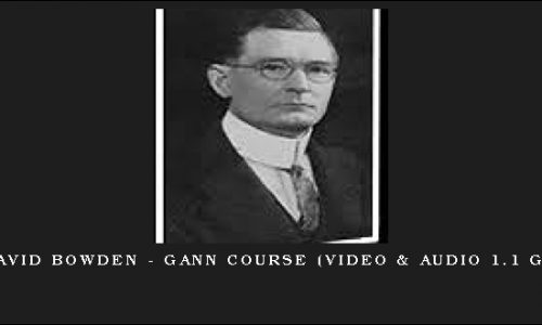 David Bowden – Gann Course (Video & Audio 1.1 GB)