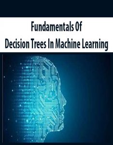 Fundamentals Of Decision Trees In Machine Learning