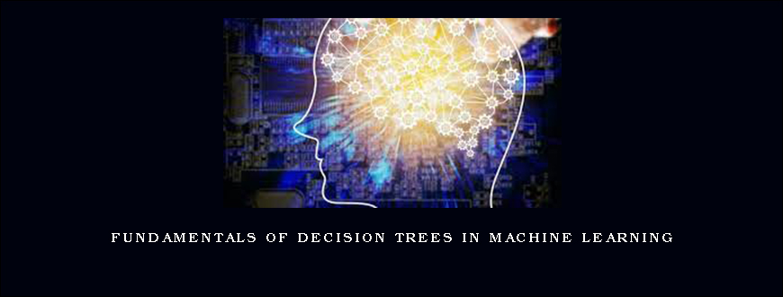 Fundamentals Of Decision Trees In Machine Learning