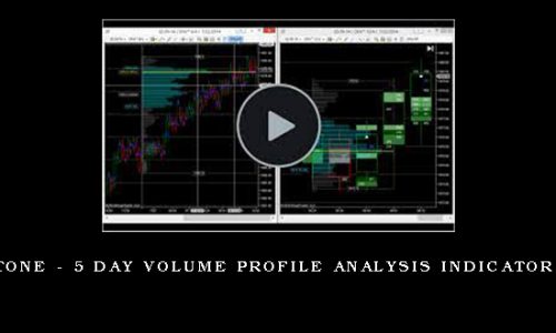 Mark Stone – 5 Day Volume Profile Analysis Indicator Course