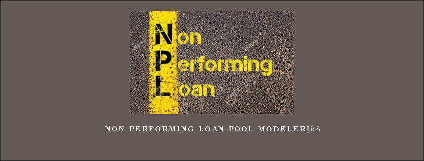 Non Performing Loan Pool Modeler™