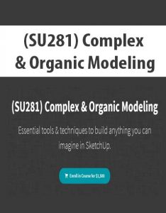 (SU281) Complex & Organic Modeling