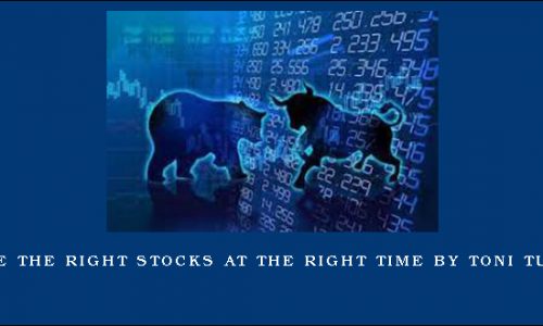 Trade the Right Stocks at the Right Time by Toni Turner