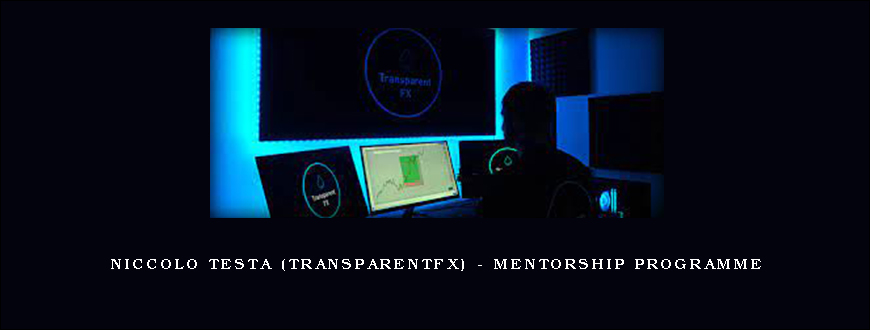 Niccolo Testa (TransparentFX) – Mentorship Programme