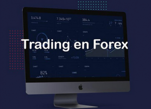 Vadim Z – Trading en FOREX ​