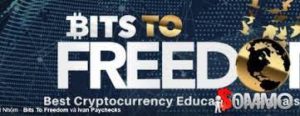 Crypto Picasso Webinar Training