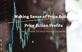 David Vallieres – Price Action Profits