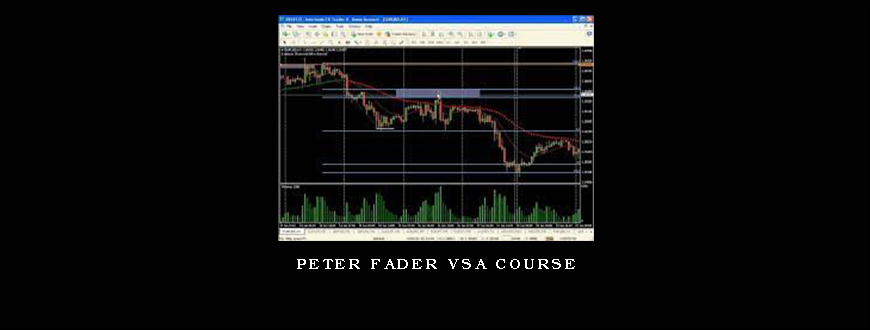 Peter Fader VSA Course