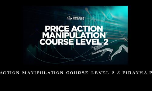 Price Action Manipulation Course Level 2