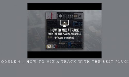 Francois – Module 4 – How to Mix a Track with the Best Plugins Available |