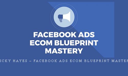 Ricky Hayes – Facebook Ads Ecom Blueprint Mastery |