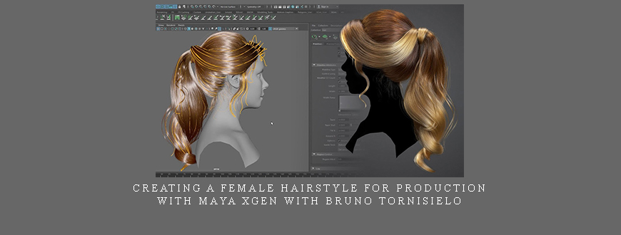 Creating a Female Hairstyle for Production with Maya XGen with Bruno Tornisielo