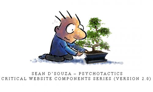 Sean D’Souza – Psychotactics – Critical Website Components Series (Version 2.0) |