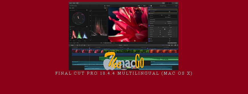 Final Cut Pro 10.4.4 Multilingual (Mac OS X)