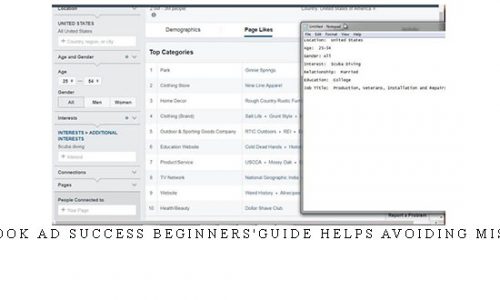 Facebook Ad Success Beginners’guide Helps Avoiding Mistakes |