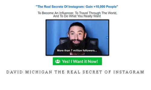 David Michigan The Real Secret of Instagram |