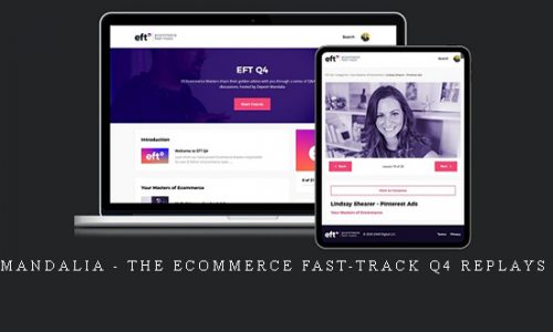 Depesh Mandalia – The Ecommerce Fast-Track Q4 Replays Bundle |