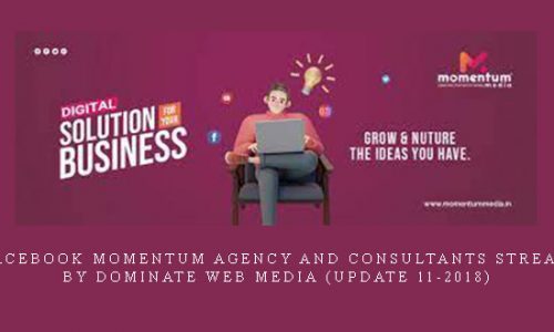 Facebook Momentum Agency and Consultants Stream by Dominate Web Media (Update 11-2018) |