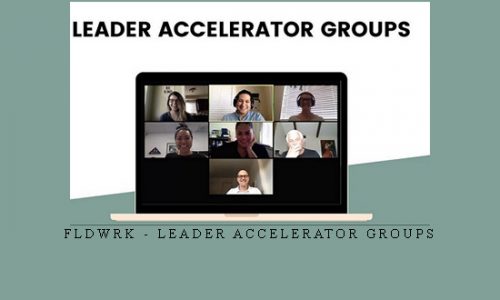 FLDWRK – Leader Accelerator Groups | 29