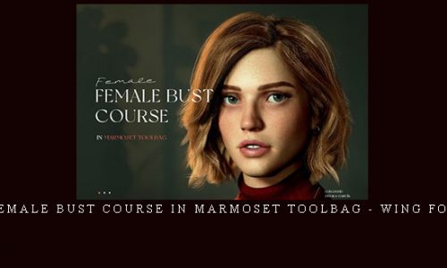 Female Bust Course in Marmoset Toolbag – Wing fox |