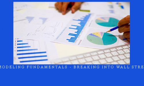 Financial Modeling Fundamentals – Breaking Into Wall Street Premium |