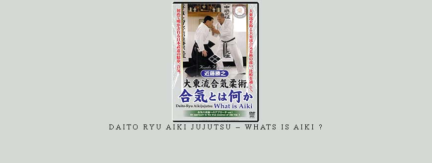 DAITO RYU AIKI JUJUTSU – WHATS IS AIKI ?