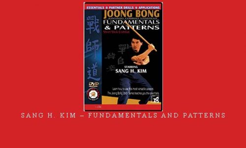 SANG H. KIM – FUNDAMENTALS AND PATTERNS | Digital Download