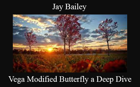 Jay Bailey – Vega Modified Butterfly a Deep Dive